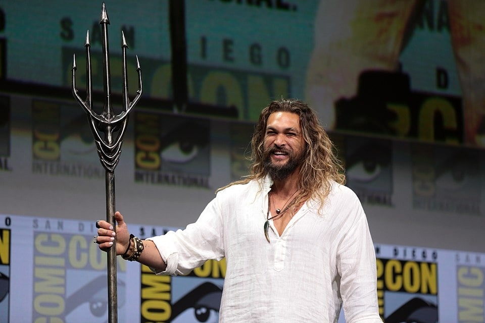 Ele também foi protagonista em “Braven: Perigo na Montanha” (2018) e fez o personagem Duncan Idaho em “Duna” (2021).

 Reprodução: Flipar