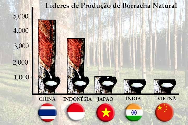 Atualmente, países como Tailândia e Indonésia lideram a produção global de borracha natural. O setor continua a gerar empregos e atender demandas da indústria automobilística e tecnológica. Reprodução: Flipar