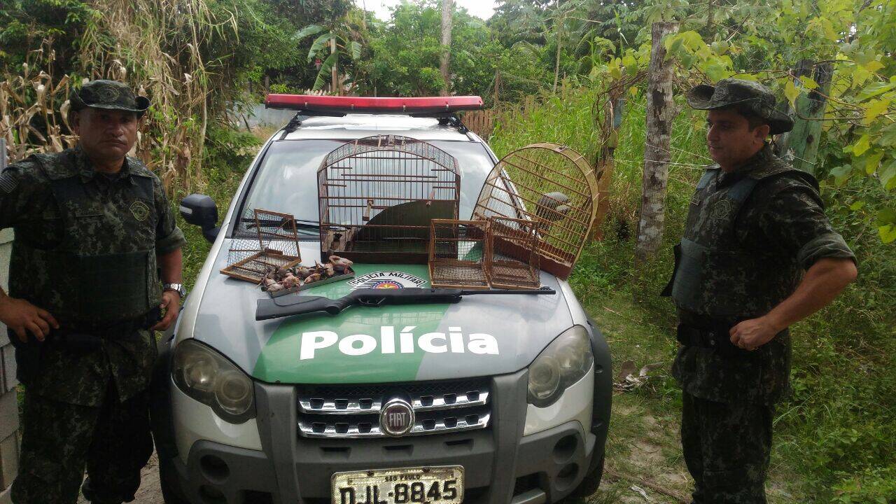 Caçador detido pela Polícia Militar Ambiental vendia bem-te-vi e sabiás como 'galetos' em Ilha Comprida (SP). Foto: Divulgação/Polícia Militar Ambiental
