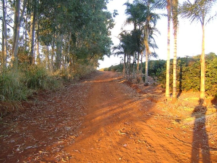 Durante suas visitas à ponte que divide as propriedades, o investigador paranormal relata sentir o ar pesado e detectar atividades com equipamentos, como mudanças bruscas de temperatura e picos em medidores eletromagnéticos. Reprodução: Flipar