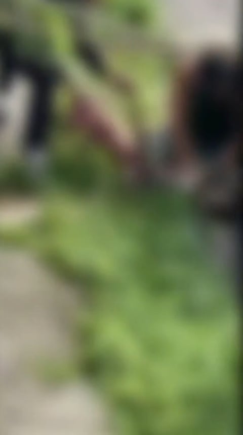 No mesmo dia, um cão pitbull matou uma cadela de pequeno porte em 31/10 no bairro Retiro, em Volta Redonda, no sul do estado do Rio de Janeiro. Por serem chocantes, as imagens circularam na imprensa com efeito para embaçá-las. O tutor foi autuado porque o pitbull estava sem focinheira, uma exigência da lei para a proteção do público.  Reprodução: Flipar