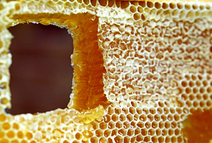 O favo de mel, portanto, é a estrutura hexagonal de cera de abelha que forma o interior das colmeias. Sua função é armazenar o pólen e o mel das abelhas.  Reprodução: Flipar