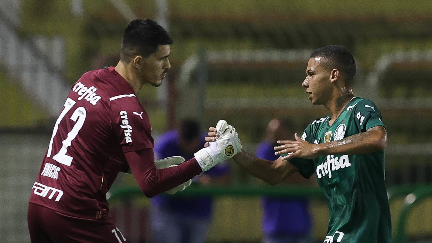 São Bento x Palmeiras. Foto: Cesar Greco / Palmeiras