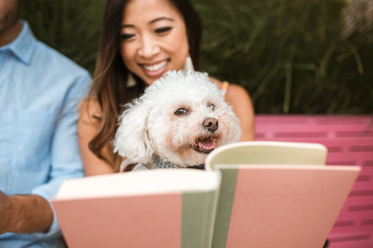 No geral, o Poodle é considerado um cão de fácil convivência e que se dá bem tanto em espaços pequenos quanto em grandes. Isso se deve ao seu comportamento calmo dentro de casa, embora precise de atividades físicas regulares. Eles também adoram brincar e são conhecidos por sua energia.
 Reprodução: Flipar