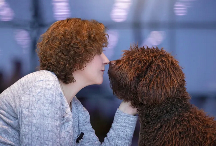 “Um lindo casal”: Cor e forma estão em sintonia nesta foto fofa de um cãozinho e sua dona encostando os narizes.