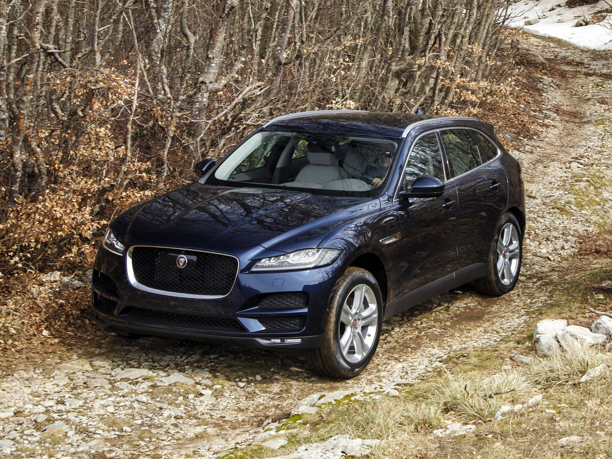 Jaguar F-Pace. Foto: Divulgação/Jaguar Land Rover