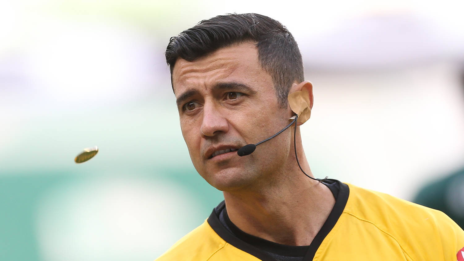Palmeiras. Foto: Cesar Greco