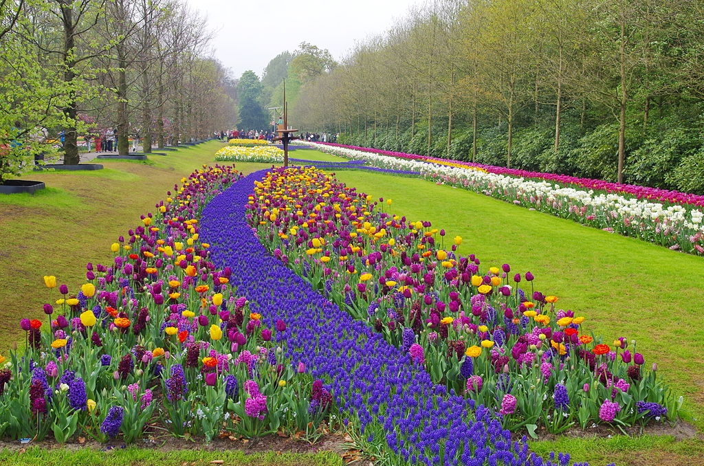 Para muitos, o Keunkenhof é o parque mais bonito do mundo destinado aos cuidados com flores. Fica na cidade de Rijnland, na Holanda, uma das principais áreas de cultivo de tulipas do planeta. Seus bem conservados jardins contêm uma admirável variedade de espécies. Reprodução: Flipar