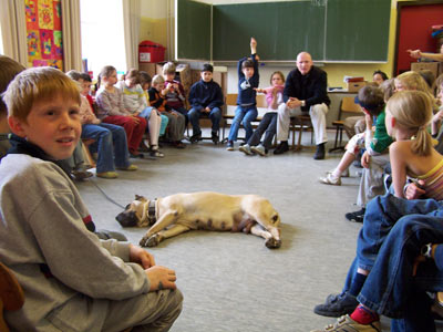 Convive bem com crianças. Foto: Perro del torro/Wikimedia Commons