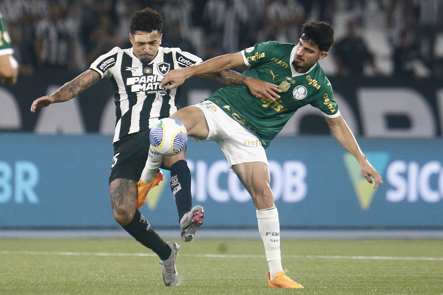 Botafogo x Palmeiras (Foto: Vítor Silva/Botafogo)