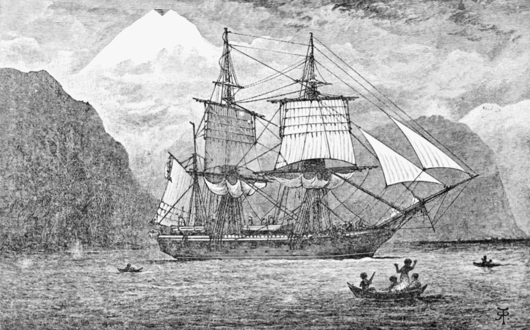 Darwin participou de uma expedição científica ao redor do mundo após indicação de Henslow. A bordo do navio Beagle, ele dedicou-se a pesquisas durante quatro anos e nove meses. Em trabalho na costa da América do Sul ele fez a observação de milhares de espécies vegetais e animais, formações geológicas e juntou fósseis. 
 Reprodução: Flipar