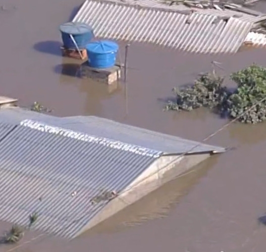 Dos 497 municípios gaúchos, 401 relatam algum problema resultante do temporal, com mais de 1,4 milhão de pessoas afetadas. Mais de 200 mil estão fora de casa. Além das pessoas, há animais ilhados. Reprodução: Flipar