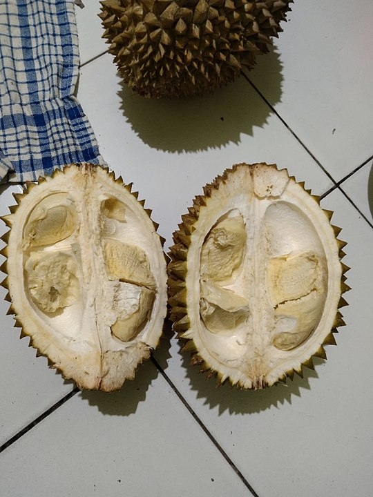 E  também é farta em fibras. Cada 100 gramas da fruta contam com 3,8 gramas, ou seja, 15% das necessidades diárias de um adulto. Reprodução: Flipar
