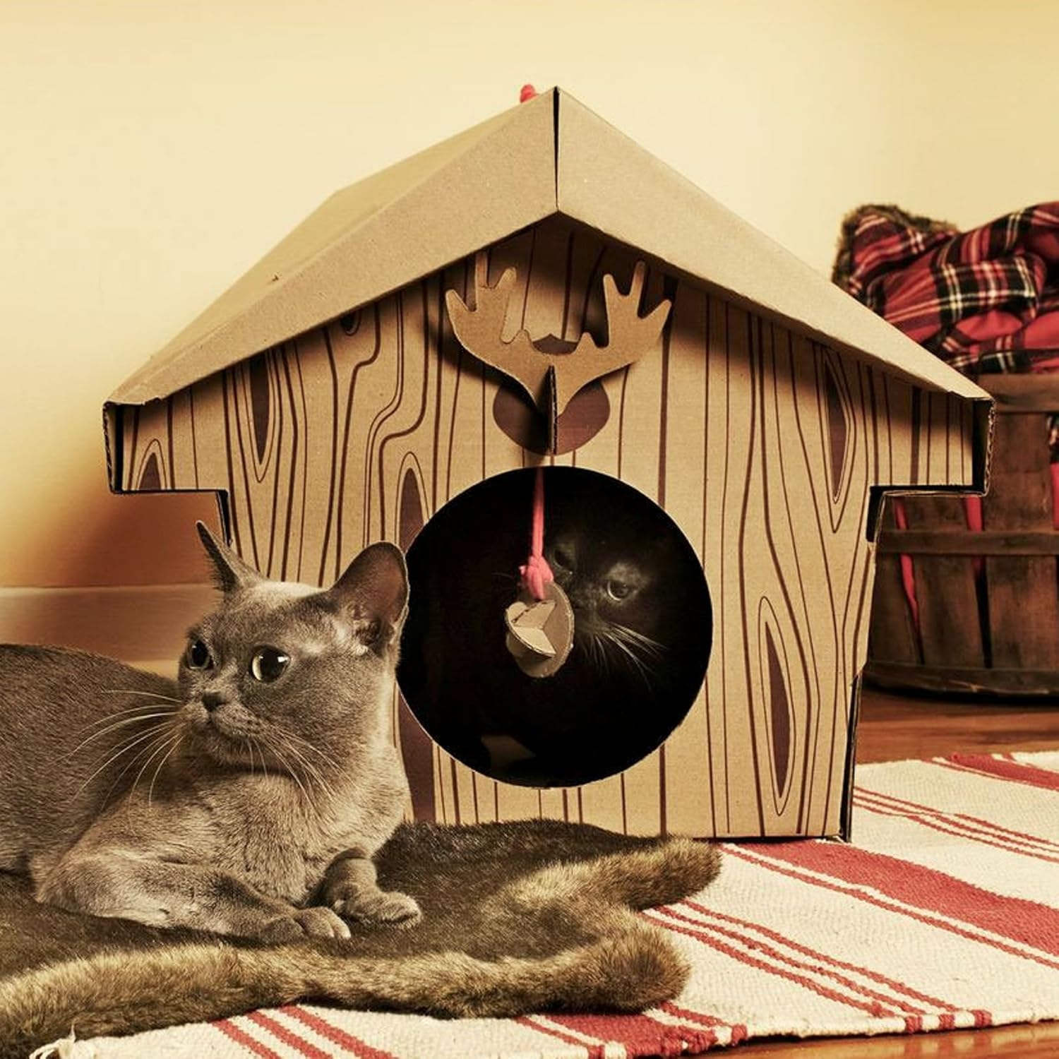 Cabana para gatos Reprodução