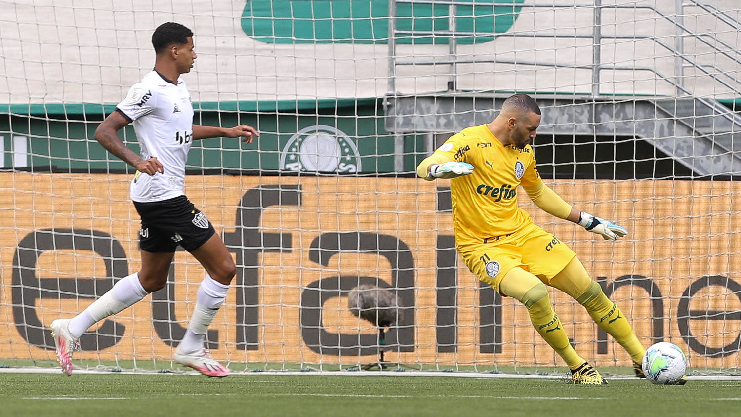 Palmeiras. Foto: Cesar Greco