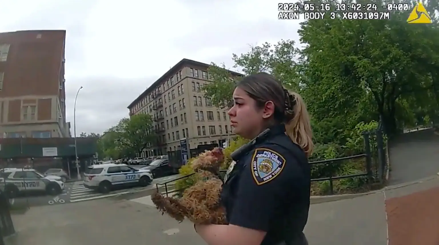 Kelsey Garcia, oficial da polícia de Nova York, não conteve o choro ao segurar o cãozinho sangrando em seus braços Reprodução/Polícia de Nova York