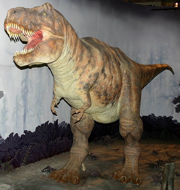 O tiranossauro rex é um gênero de dinossauro que viveu durante o final do período cretáceo, há aproximadamente 66 milhões de anos.