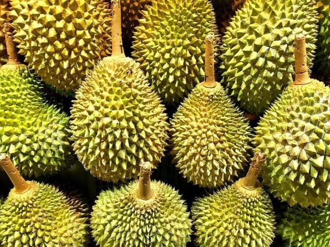 Fruta – Durian: Nativo do Sudeste Asiático, o durian é uma fruta conhecida por sua casca cheia de espinhos. No entanto, o que mais afasta possíveis consumidores é o seu cheiro intenso e desagradável. Reprodução: Flipar