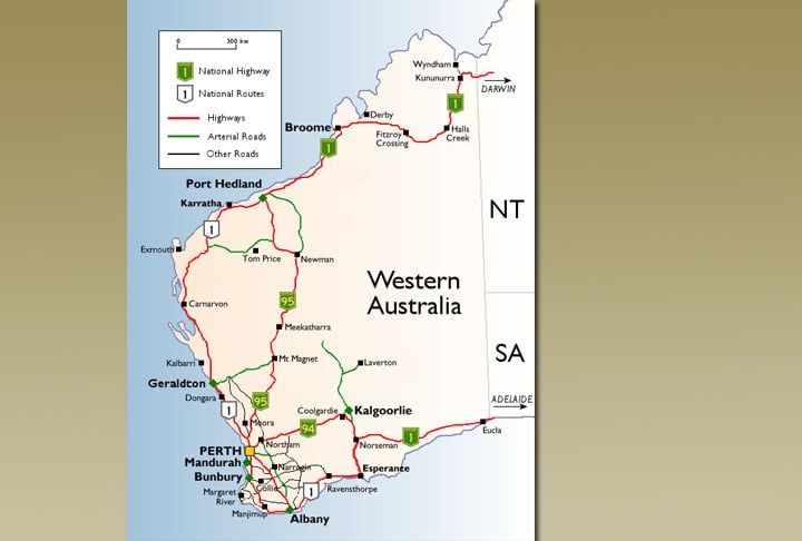 Nativos das áreas centrais da Austrália, as aves assemelhadas aos avestruzes invadiram as fazendas locais. Reprodução: Flipar