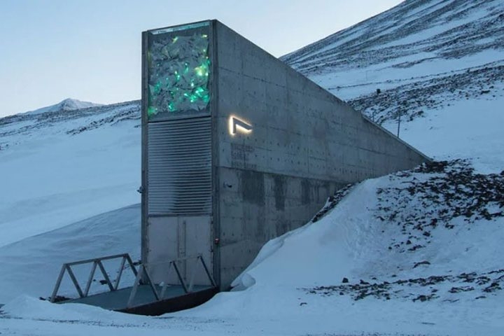 É em Svalbard que fica o Global Seed Vault, um depósito subterrâneo que armazena sementes do mundo todo para preservar a biodiversidade agrícola em caso de colapso global. Reprodução: Flipar