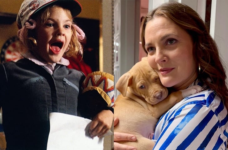 Drew Barrymore- Um rosto conhecido desde criança e oriunda de família com grandes estrelas, a atriz tem em seu currículo vários filmes e séries de sucesso, como E.T. - O Extraterrestre (1982), Pânico (1995), e a franquia As Panteras (2001 e 2003). Reprodução: Flipar