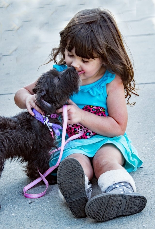 Pretende dar um cãozinho de estimação para fazer companhia ao seu filho? Saiba que os cães são animais geralmente amáveis, fofos e serão os melhores amigos da criançada.