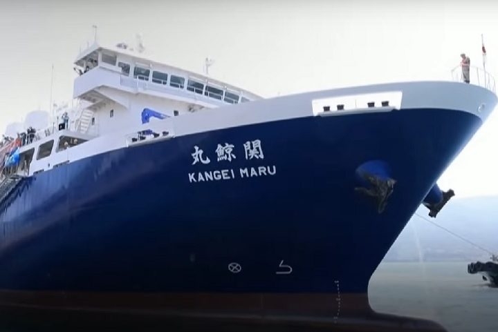 Pensando em mudar de área ou procurando apenas aprender coisas novas? Que tal tentar ser corretor de navios? É uma profissão com baixa procura no Brasil, o que pode ser interessante para você se destacar no futuro.  Reprodução: Flipar