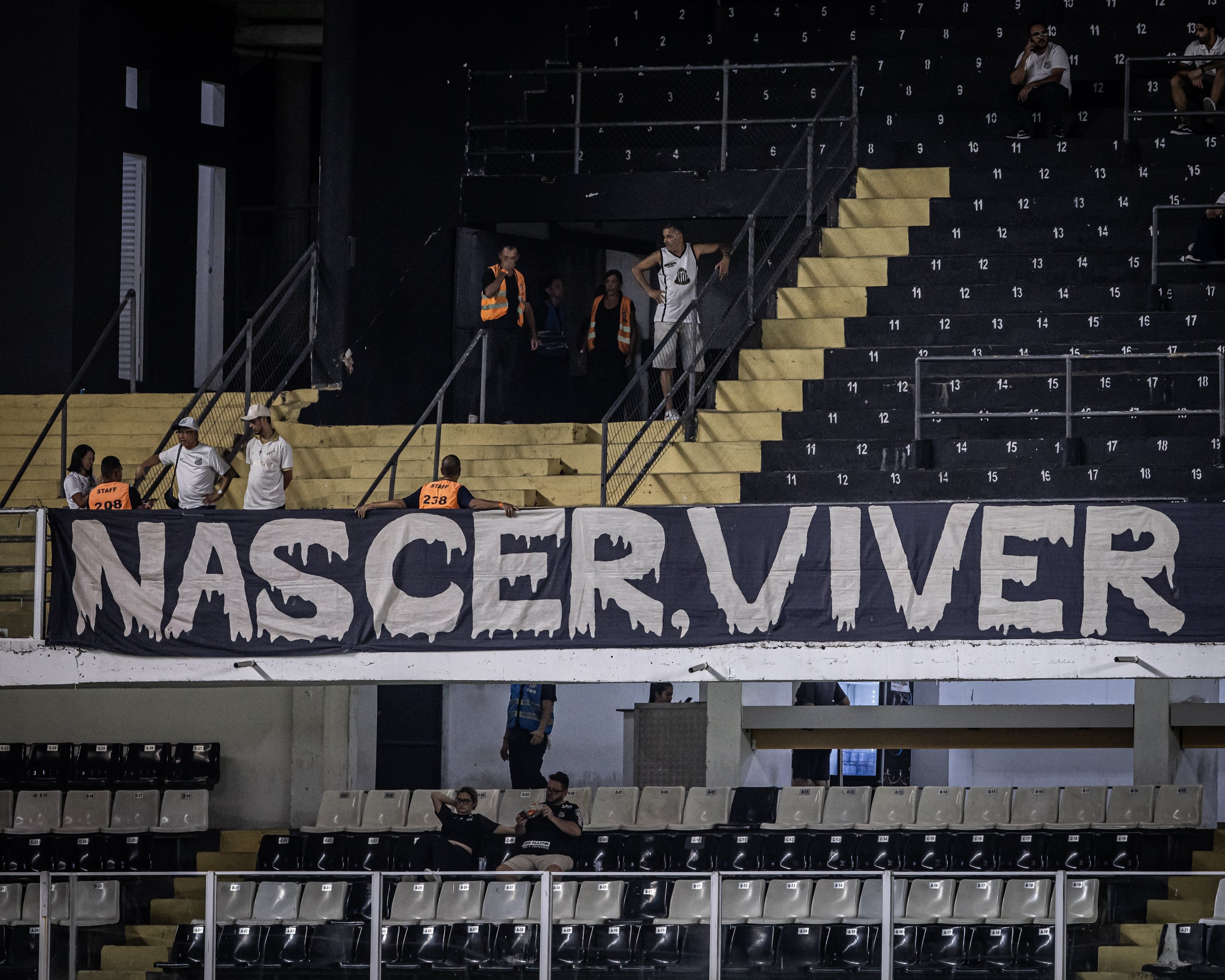 Vila Belmiro Divulgação/ SantosFC