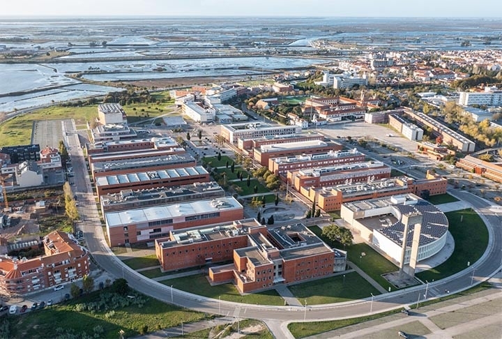 O biólogo Alfredo López Fernandez, da Universidade de Aveiro, divulgou na ocasião que as interações de orcas com pessoas (no caso, as que estão no barco) já ocorriam, mas o fenômeno do ataque a embarcações tem ganhado impulso recentemente. Reprodução: Flipar