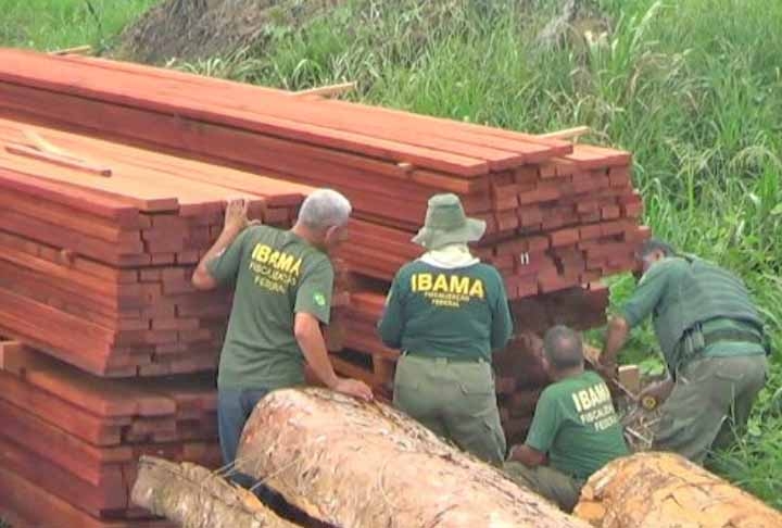 O órgão de proteção ambiental relatou que as empresas vinham explorando ilegalmente madeira em terras indígenas.