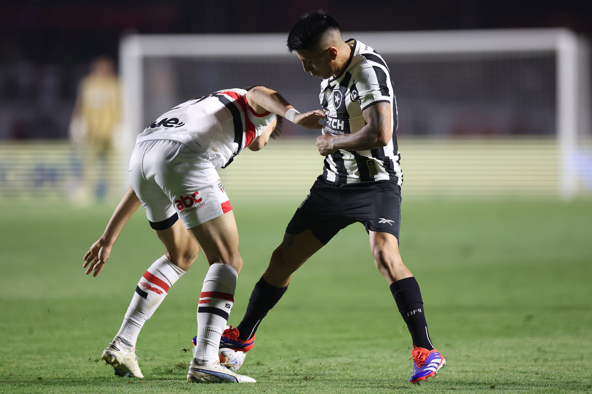 São Paulo x Botafogo Foto: Vítor Silva/Botafogo