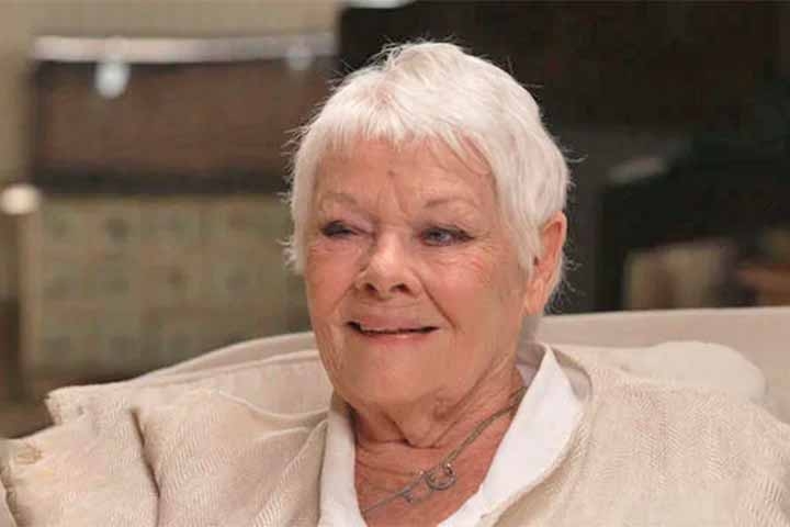 Diagnosticada em 2012 com degeneração macular relacionada à idade, a vencedora do Oscar contou que a condição já compromete tarefas simples do cotidiano, como identificar pessoas próximas, ler e até mesmo assistir televisão.
 Reprodução: Flipar