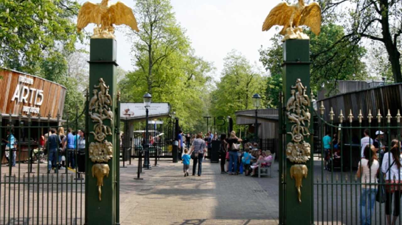 Artis Royal Zoo (Natura Artis Magistra) - Descrição: Fundado em 1838, o Artis é o zoológico mais antigo dos Países Baixos, com belos jardins, aquário, planetário e mais de 900 espécies de animais - Localização: Plantage Kerklaan 38-40 - Referências Históricas: O zoológico foi estabelecido durante o auge do colonialismo holandês, refletindo o interesse da época pela fauna exótica Reprodução: Flipar