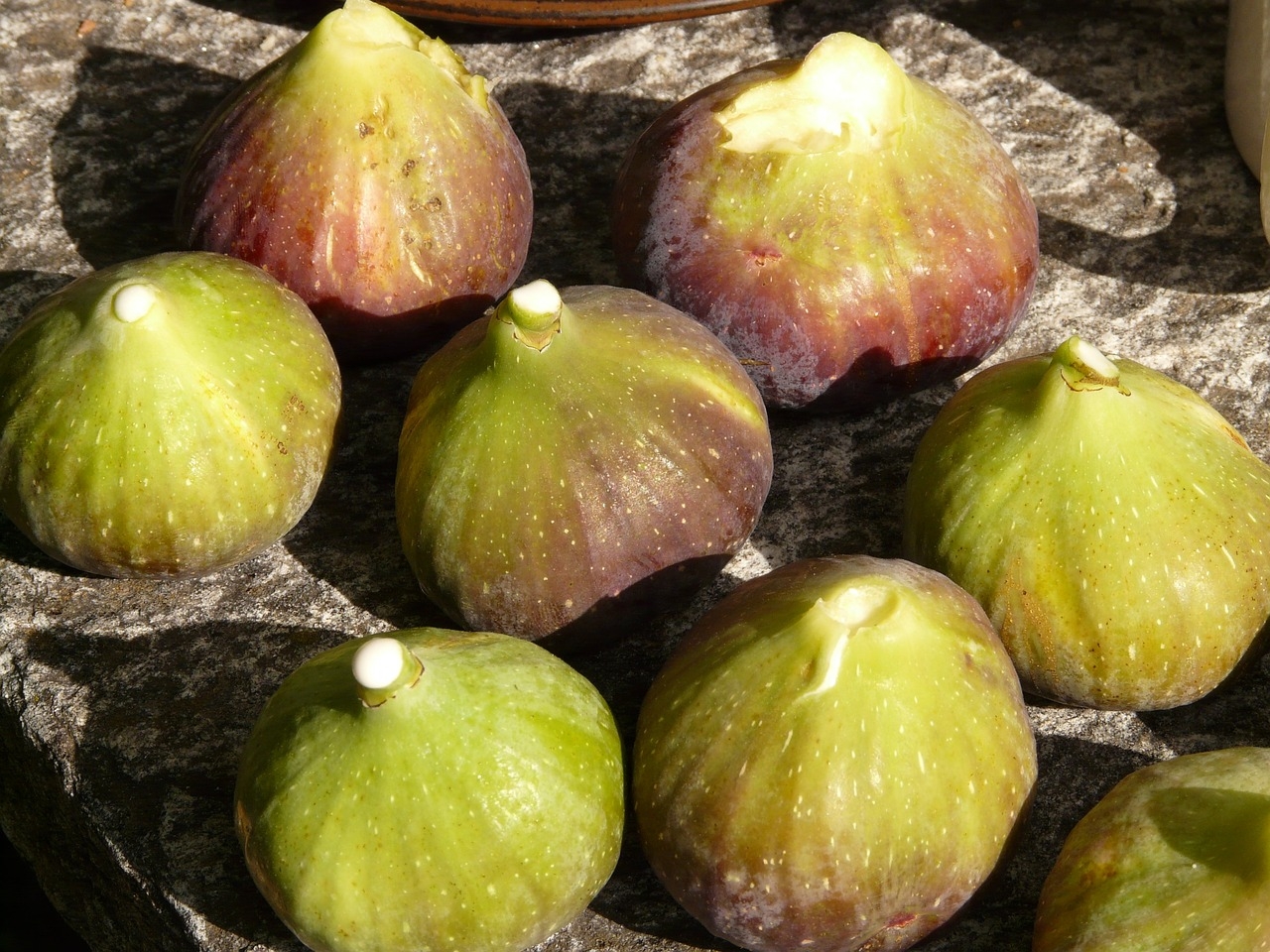 Contudo, como seu pólen está na parte interna, apenas a vespa-do-figo consegue acessá-lo por meio de uma abertura na flor. A digestão desta vespa não acontece como uma complementação da sua alimentação, mas como um mecanismo de defesa. Reprodução: Flipar