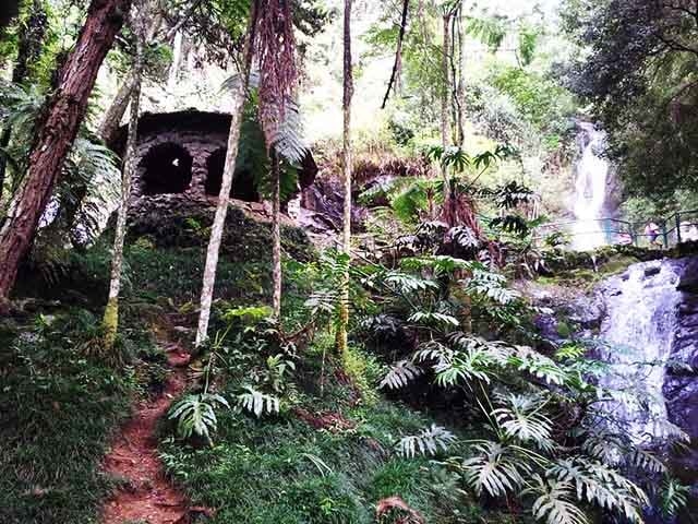 A fonte, envolta por trilhas e vegetação exuberante, é alimentada por águas naturais e cristalinas. O ambiente convida à contemplação e ao descanso, sendo ideal para casais e visitantes em busca de beleza natural e momentos de serenidade. Reprodução: Flipar