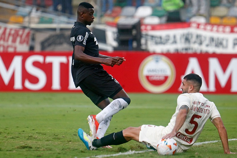 Universitario x Botafogo - Libertadores Vitor Silva/Botafogo