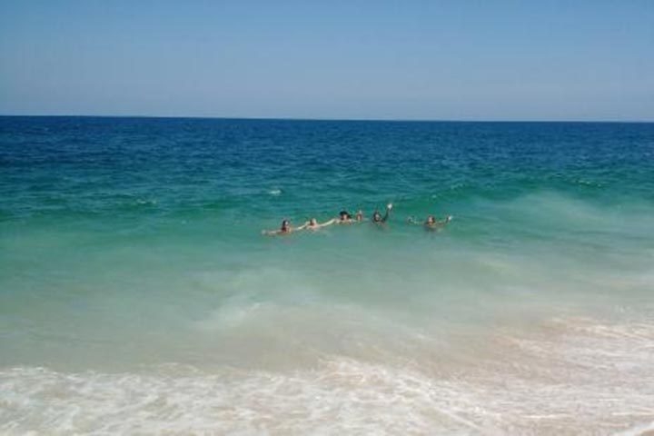 O estudo foi feito pela organização Sea Shepherd Brasil em conjunto com o Instituto Oceanográfico da USP. Confira o ranking com as 5 praias mais poluídas do Brasil! Reprodução: Flipar