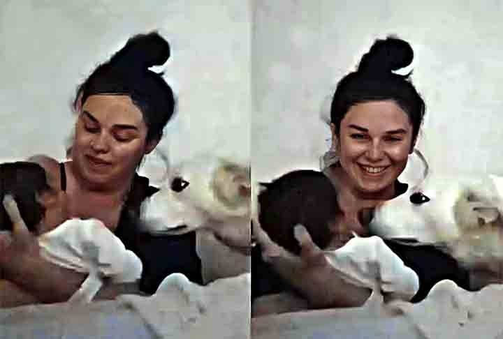 
Uma imagem viralizou recentemente nas redes sociais:  Cedar, um cachorro de estimação Border Collie, acompanhou Brooke Thomo, uma mãe de primeira viagem durante amamentação e encantou a web. O caso aconteceu na Austrália. Reprodução: Flipar