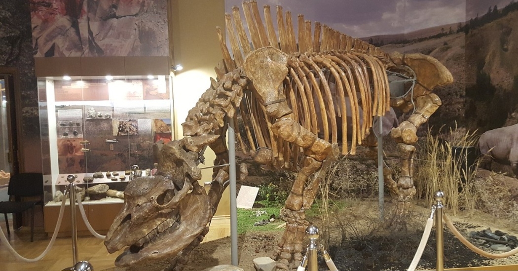 Pesquisadores enontraram um fóssil de unicórnio siberiano, datado de 29 mil anos, no Cazaquistão. Para quem estranha a informação porque sabe que unicórnios são seres míticos da ficção, os especialistas explicam: trata-se de um Elasmotherium sibiricum, nome dado à espécie, que, na verdade, era um enorme rinoceronte. Reprodução: Flipar