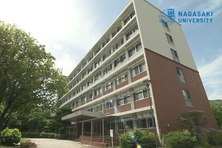 O estudo foi feito por pesquisadores da Universidade de Nagasaki, que juntaram informações coletadas ao longo de muitos anos. Reprodução: Flipar
