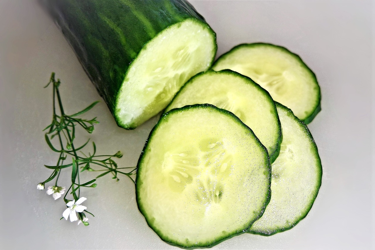 O pepino é um alimento extremamente versátil e nutritivo, oferecendo uma vasta gama de benefícios para a saúde, desde o auxílio na perda de peso até a prevenção de doenças graves como câncer e problemas cardiovasculares. Reprodução: Flipar