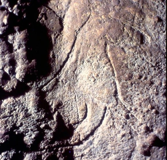 Os desenhos, sobrepostos por marcas de arranhões de ursos-das-cavernas, sugerem que podem ter mais de 24 mil anos! Reprodução: Flipar