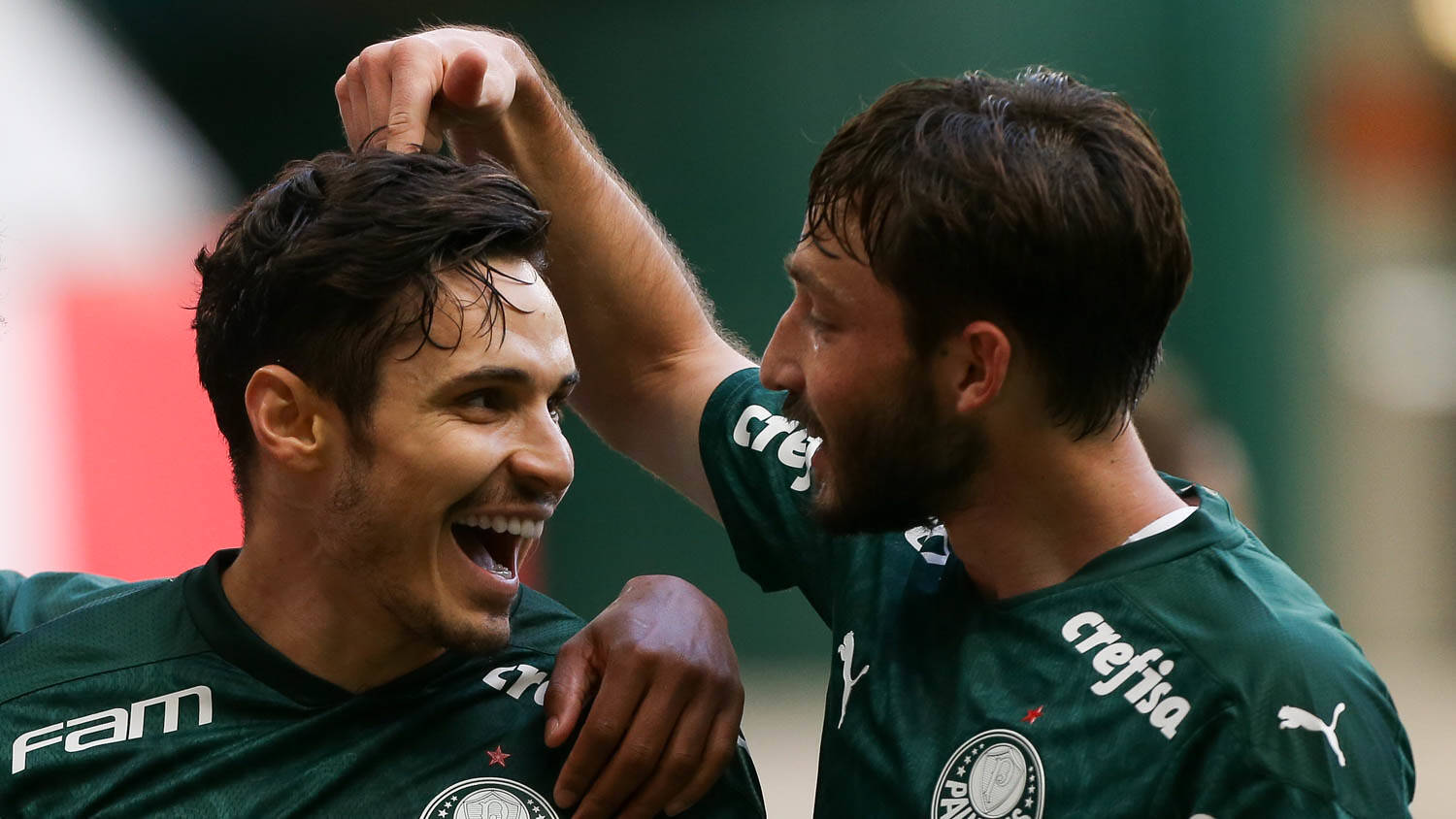 Palmeiras. Foto: Cesar Greco