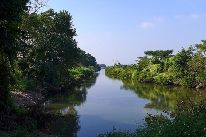 Administrada pela WWF desde os anos 1980, a reserva é uma referência em conservação e educação ambiental, com visitas guiadas e programas voltados para escolas e pesquisadores. Reprodução: Flipar