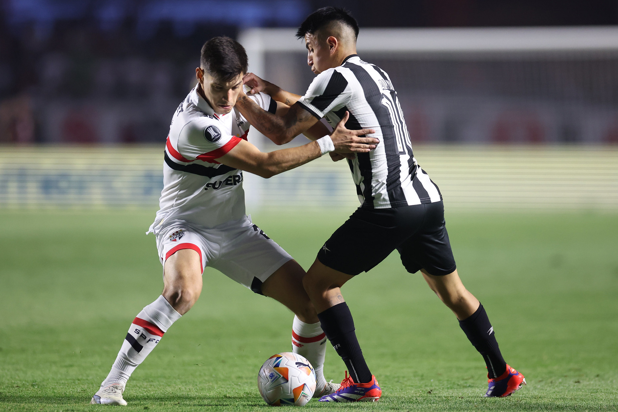 São Paulo x Botafogo Foto: Vítor Silva/Botafogo