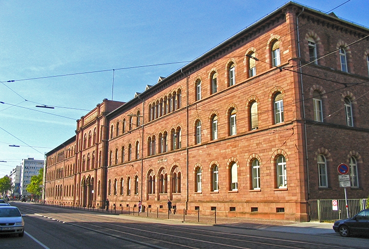A descoberta deste peixe foi feita por pesquisadores que trabalham no Instituto de Tecnologia de Karlsruhe, que tem sede na Alemanha. Reprodução: Flipar