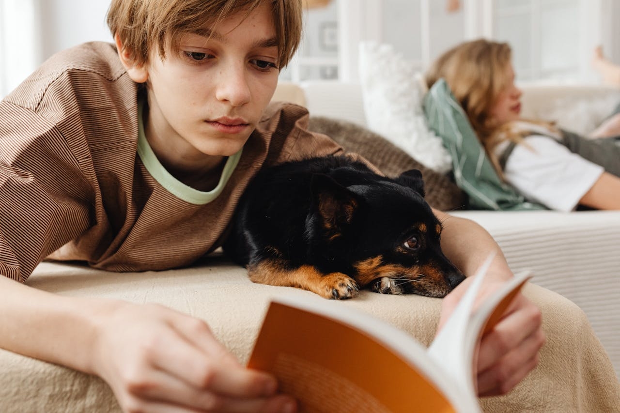 Por serem muito sociáveis, a raça se dá bem com outros animais de estimação, desde que sejam introduzidos corretamente. Também são ótimos companheiros para crianças, embora seja importante supervisionar a interação entre eles e crianças pequenas, devido ao seu tamanho frágil. Reprodução: Flipar