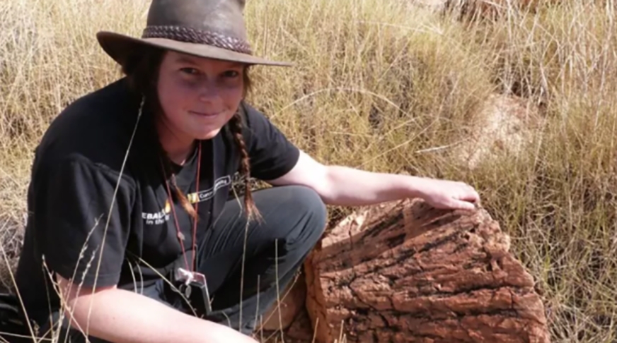 O mineral reidite foi descoberto na Cratera de Woodleigh, na Austrália, pela estudante Morgan Fox, da Escola de Geologia e Ciências Planetárias da Universidade de Curtin. A BBC divulgou a notícia na época.  Reprodução: Flipar