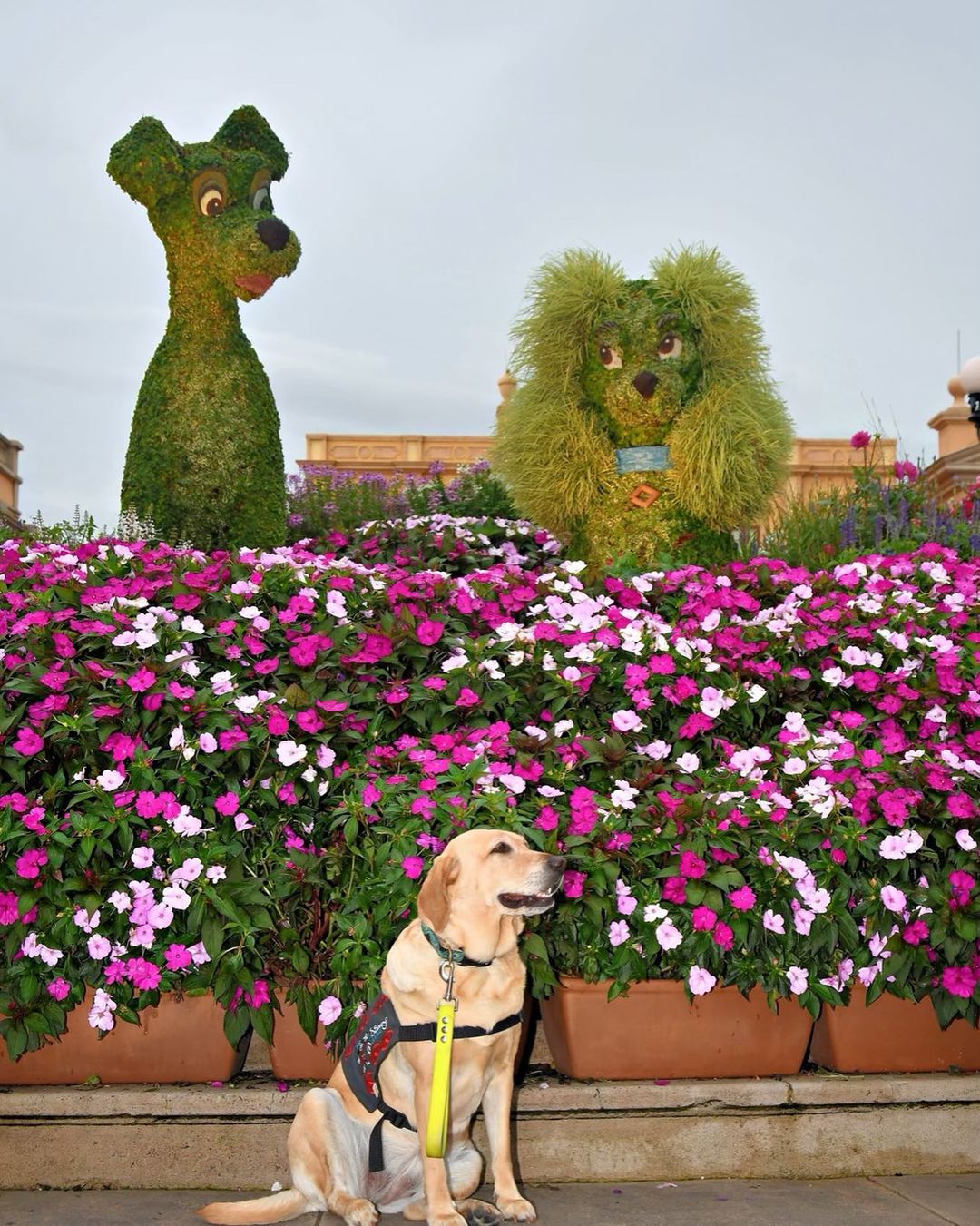 Noodle em seus passeios pelo Disney World. Foto: Reprodução/Instagram