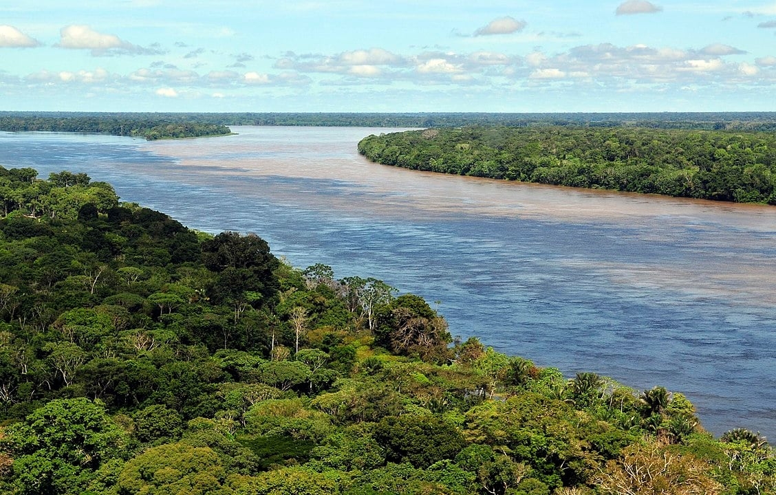 Cerca de 20% dos recursos hídricos do Brasil estão na floresta, que briga mais de 30 mil espécies de plantas, 1,8 mil de peixes continentais, 1,3 mil de aves, 311 de mamíferos e 163 de anfíbios. Reprodução: Flipar